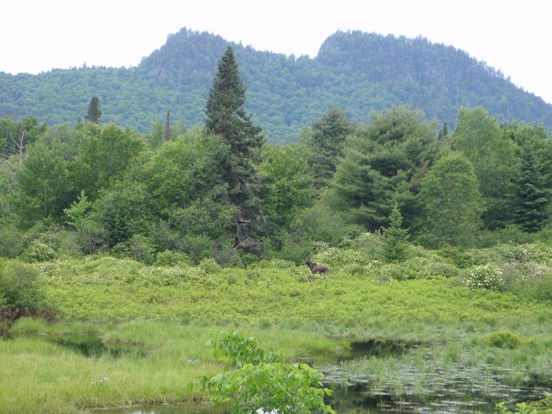 Canoe 08 109.jpg